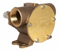 1½" bronze pump, <b>200-size</b>, foot-mounted with BSP threaded ports