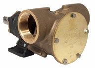 2" bronze pump, <b>270-size</b>, foot-mounted with BSP threaded ports